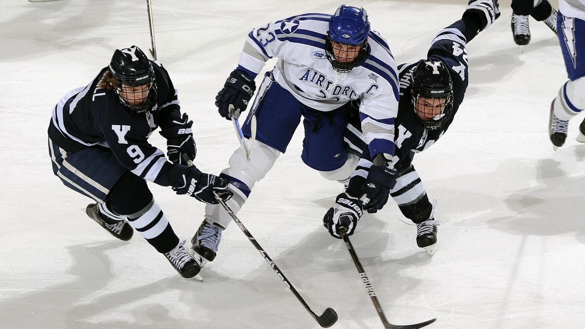 保利斯塔主场战绩稳健，保利斯塔嘉宝果介绍