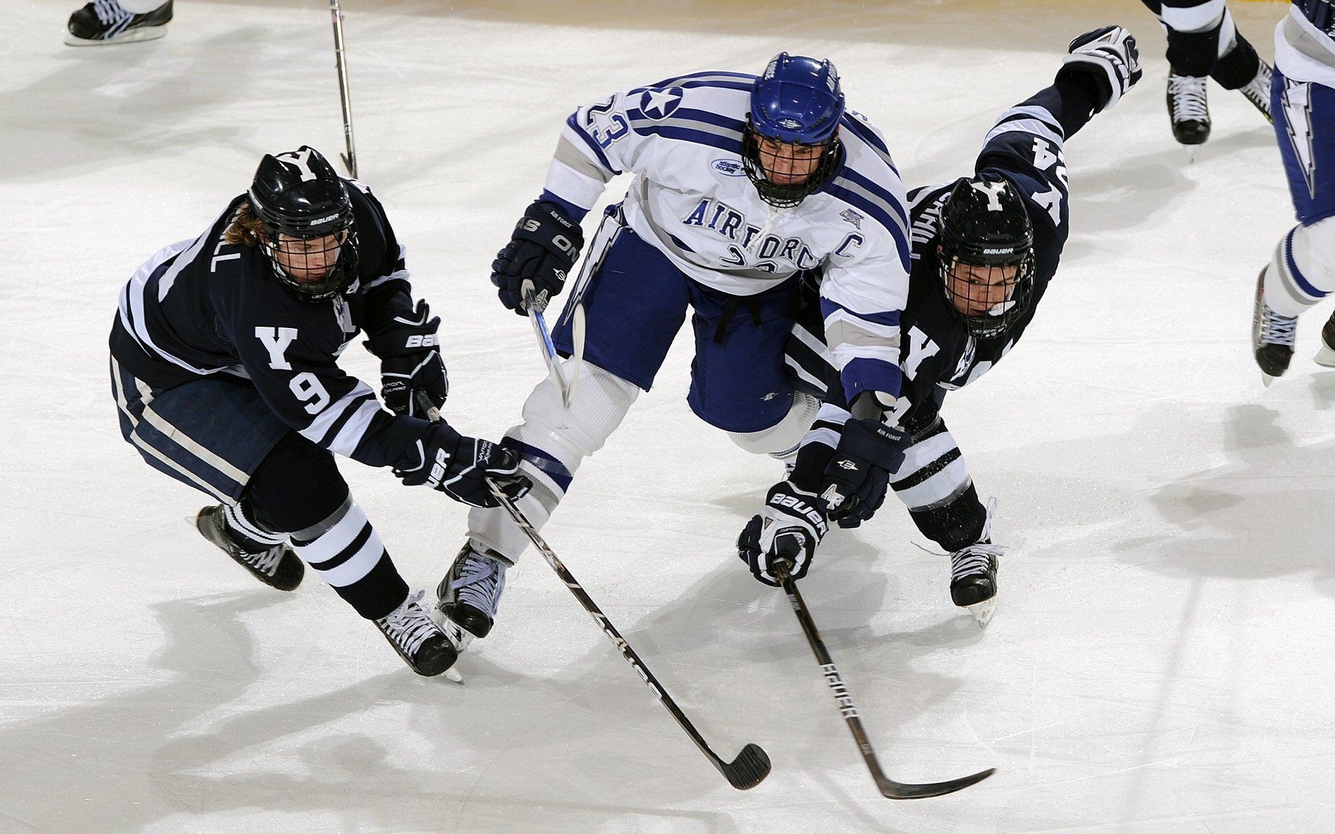 公牛队支持本地电竞产业发展，公牛队是啥