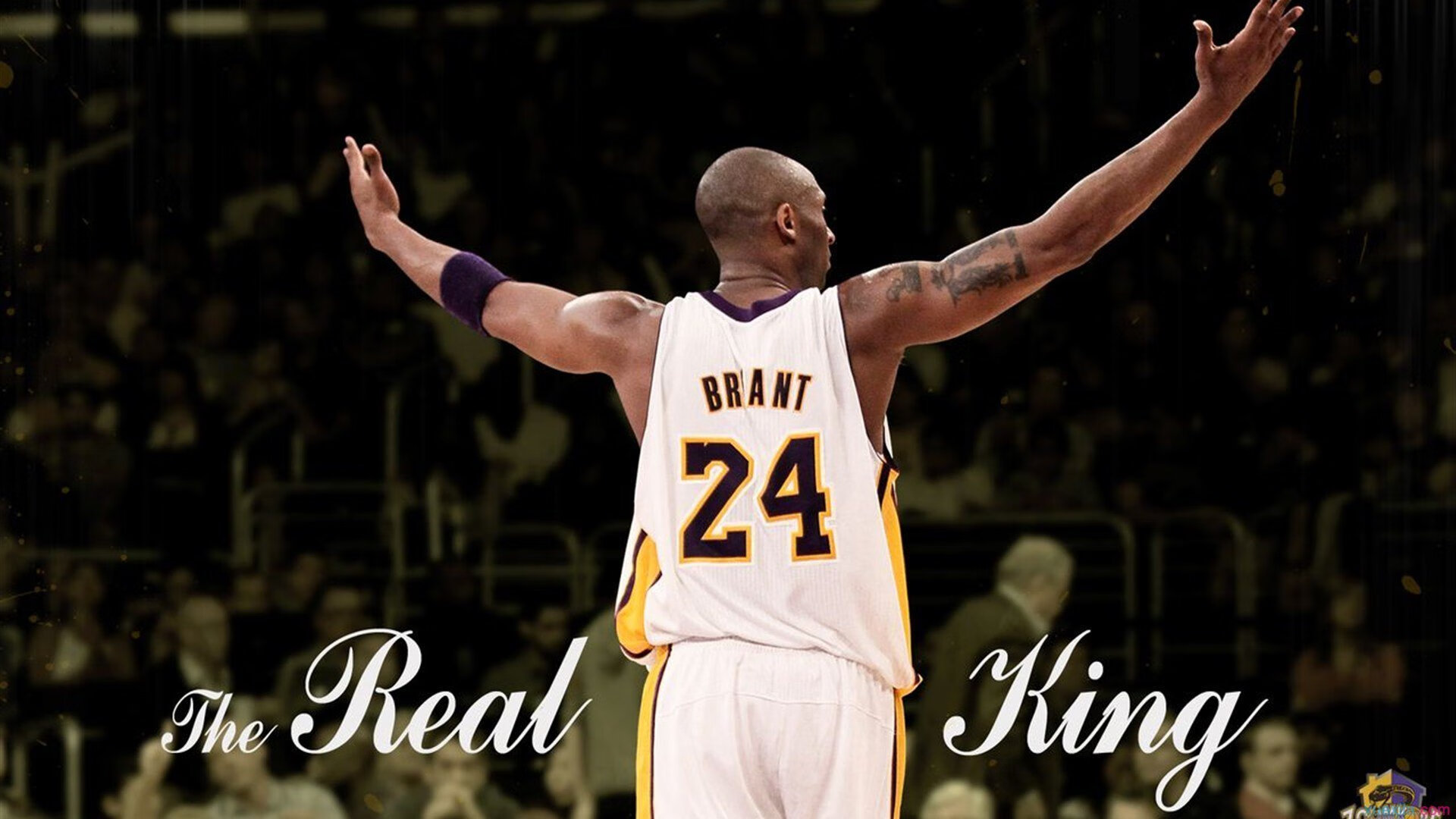 跑跑卡丁车极速赛开启，卡丁车赛车手比拼极限速度，手游跑跑卡丁车竞速